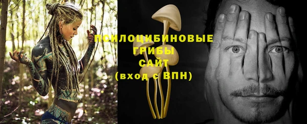 ешки Балахна