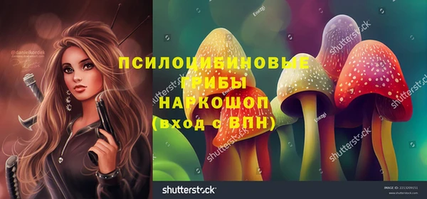 ешки Балахна